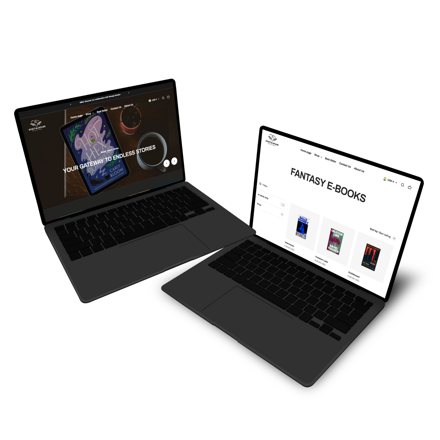 Premimum DigitalSpage store based on Shopify