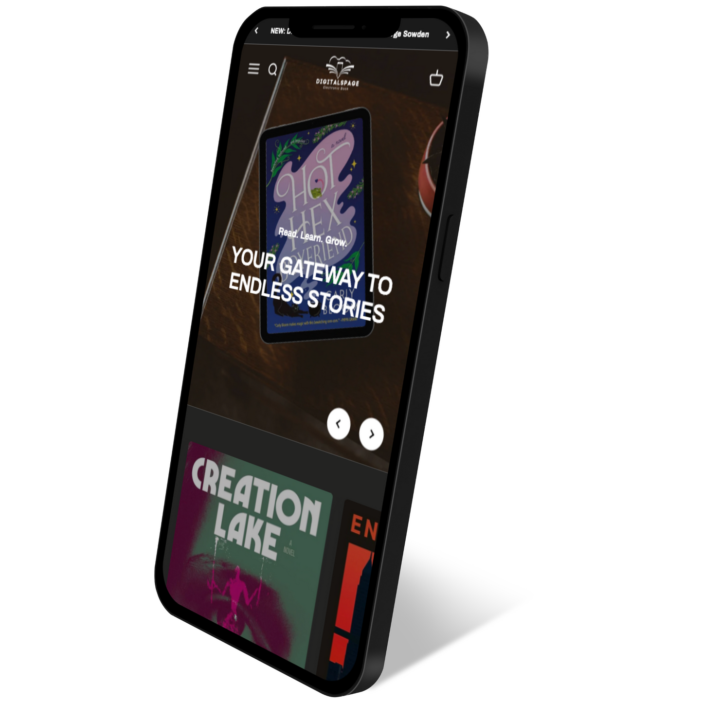 Shopify DigitalSpage store