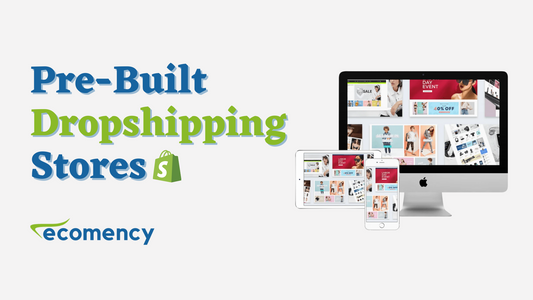 Prebuilt Dropshipping Stores – Is it Worth it to Buy?